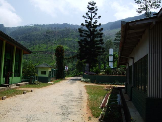 Thee fabriek in de buurt van nuwara eliya