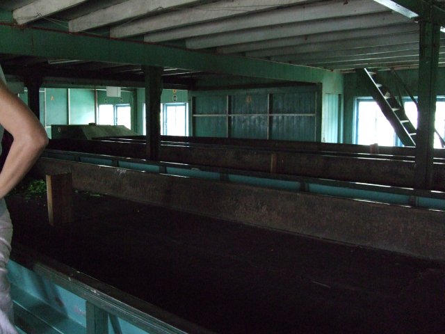 Thee fabriek in de buurt van nuwara eliya