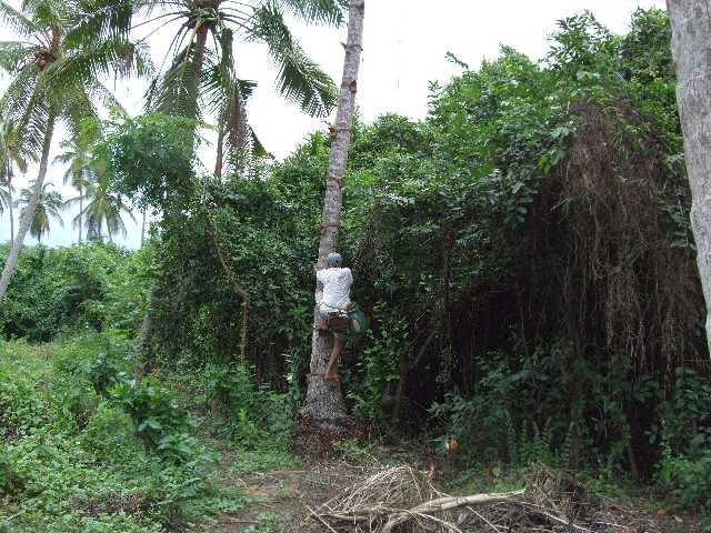 Slide 8