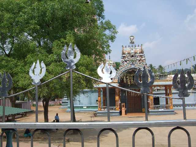 Foto Sri Lanka Matale 9