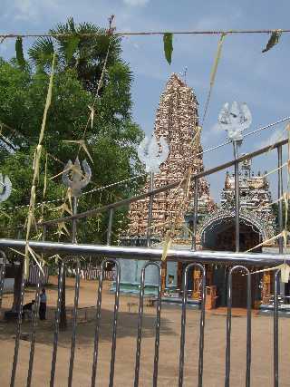 Foto Sri Lanka Matale 6