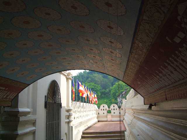Slide 9