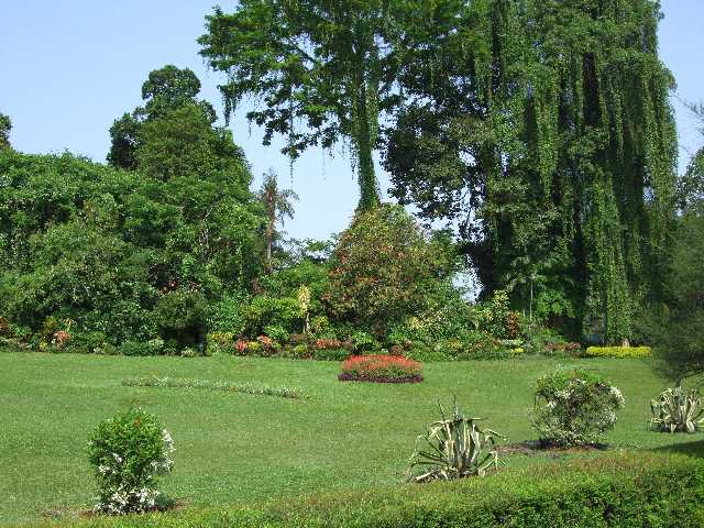 Slide 45
