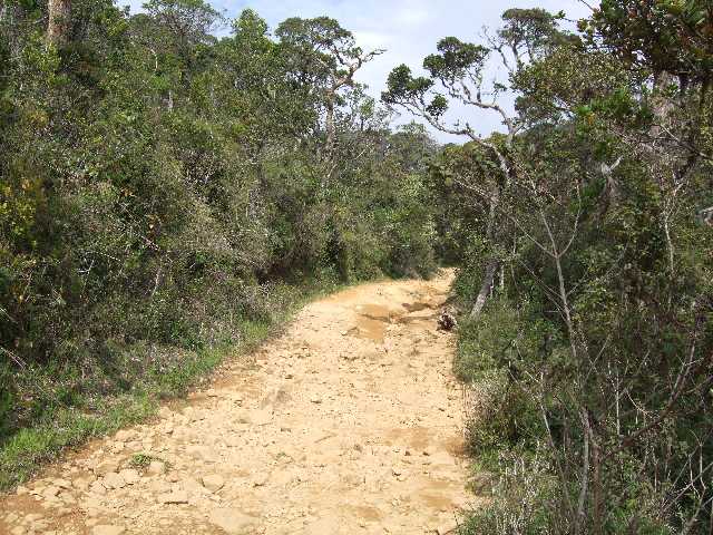 Slide 3