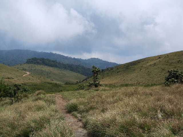 Slide 10