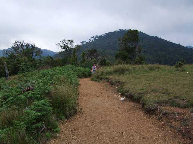 Slide 13