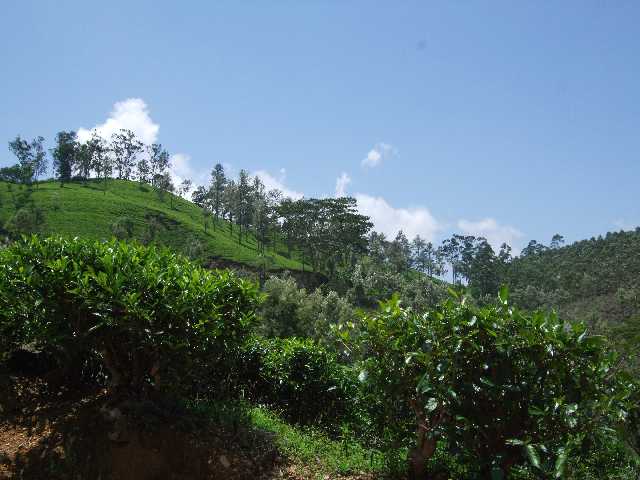 Slide 19